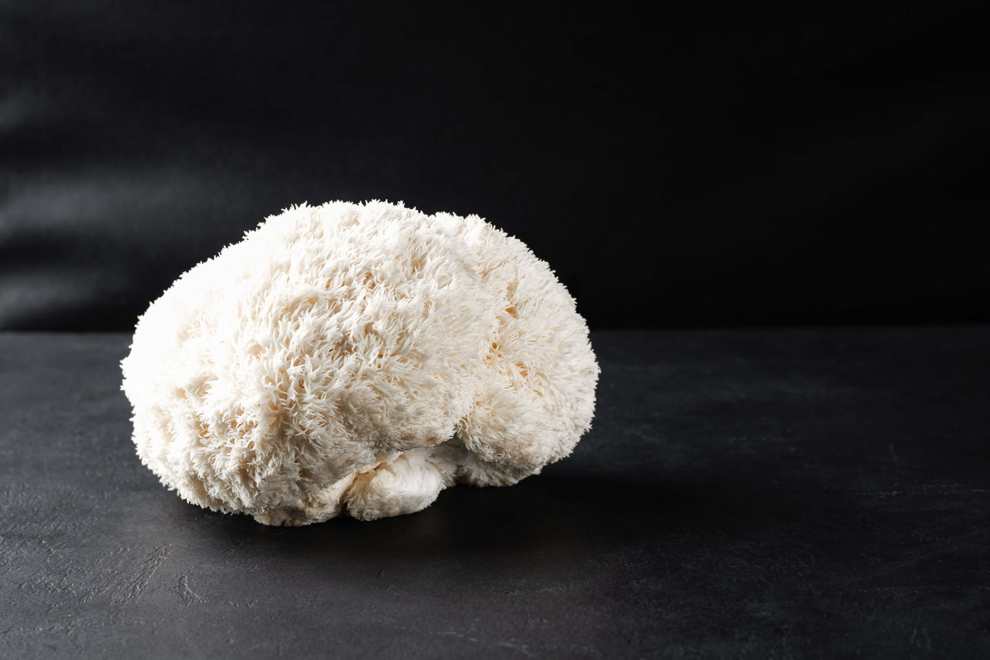 Lion's Mane Grow-at-Home Mushroom Kit